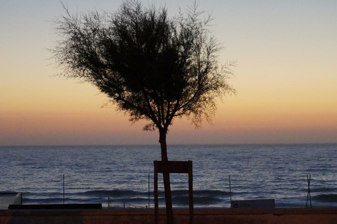 Holiday House Tocha Palheiros da Tocha Dış mekan fotoğraf